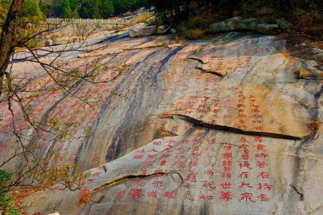 在校生逃脱